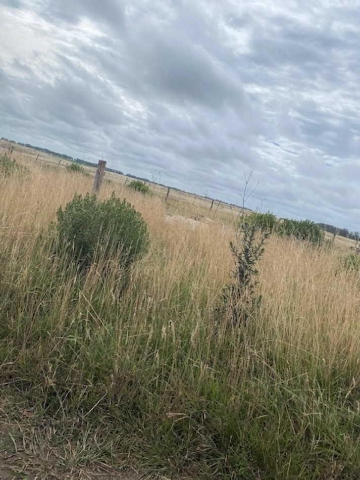 LOTE EN CHAPADMALAL