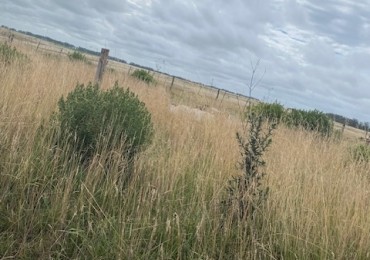 LOTE EN CHAPADMALAL